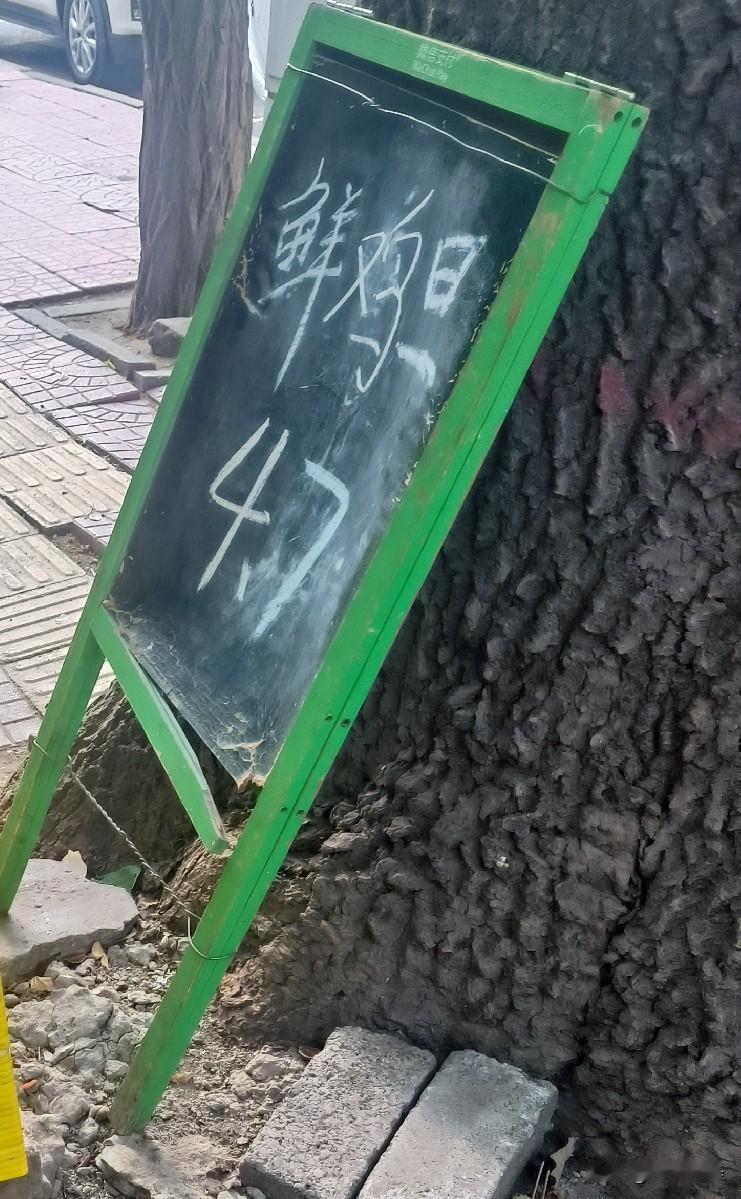 保定街头买鸡蛋，4.7元一斤！大爷专挑‘丑’鸡蛋，说这才是新鲜的？

家里的鸡蛋