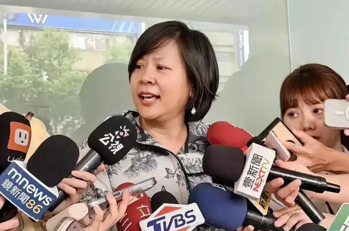 民进党还是高兴的太早了？
李贞秀在绿媒节目上左打“民众党”右打“民进党”，一句“