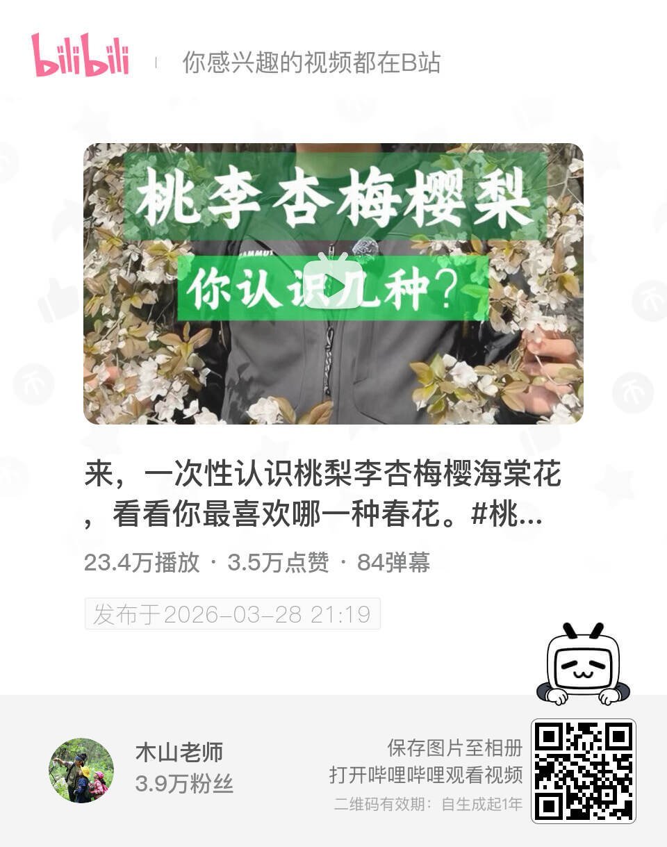 来，一次性认识桃梨李杏梅樱海棠花，看看你最喜欢哪一种春花。桃花杏花梅花梨花樱花海