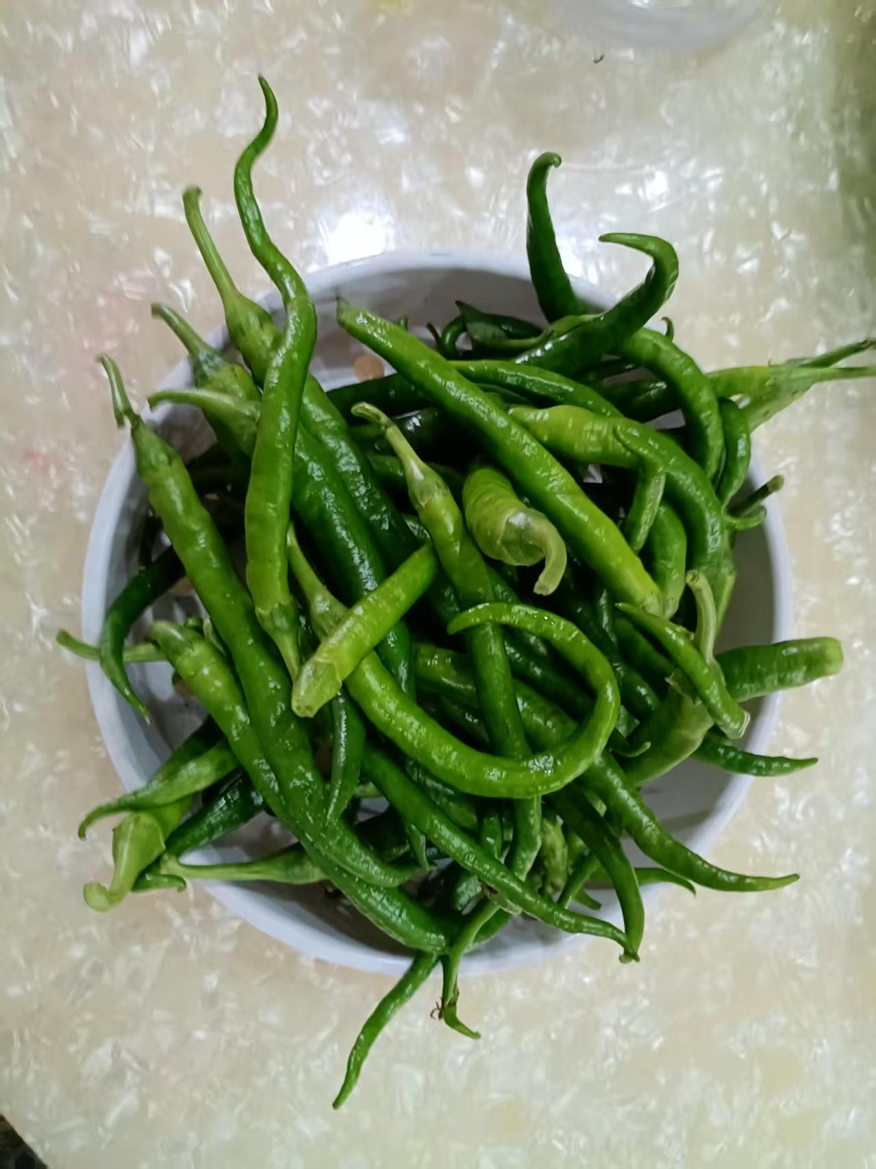 今年收获的第一碗辣椒