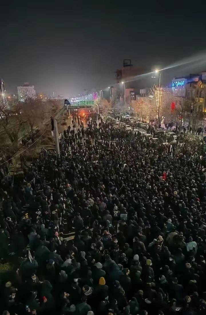 谁吃饱了撑的难受去示威游行，又不是领免费的鸡蛋，那是担着风险呢，关键一点就是没饭