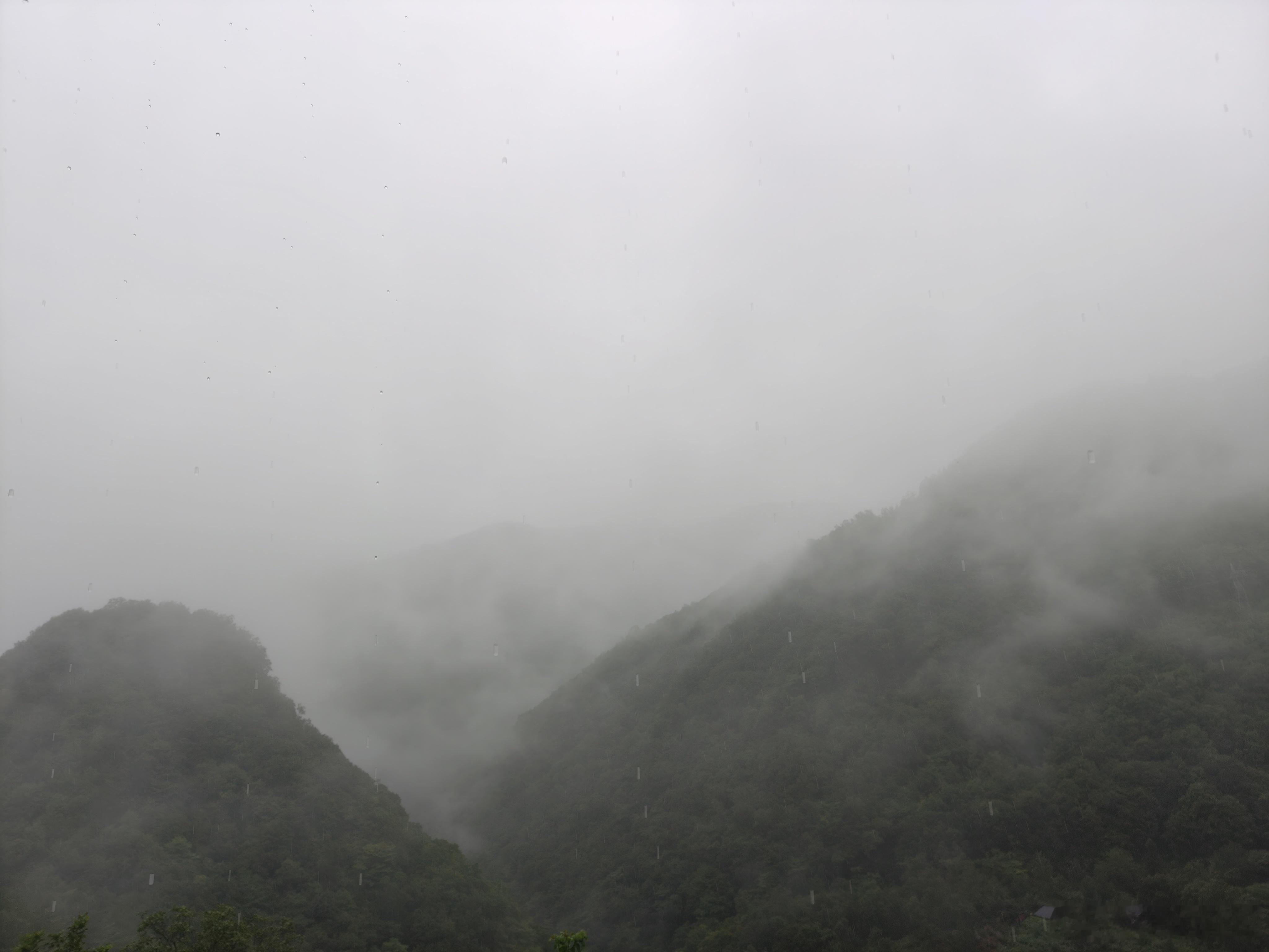 在水墨画里开车早上浓雾，现在雨太大了，打卡神农顶就撤了，有机会天气好再来 