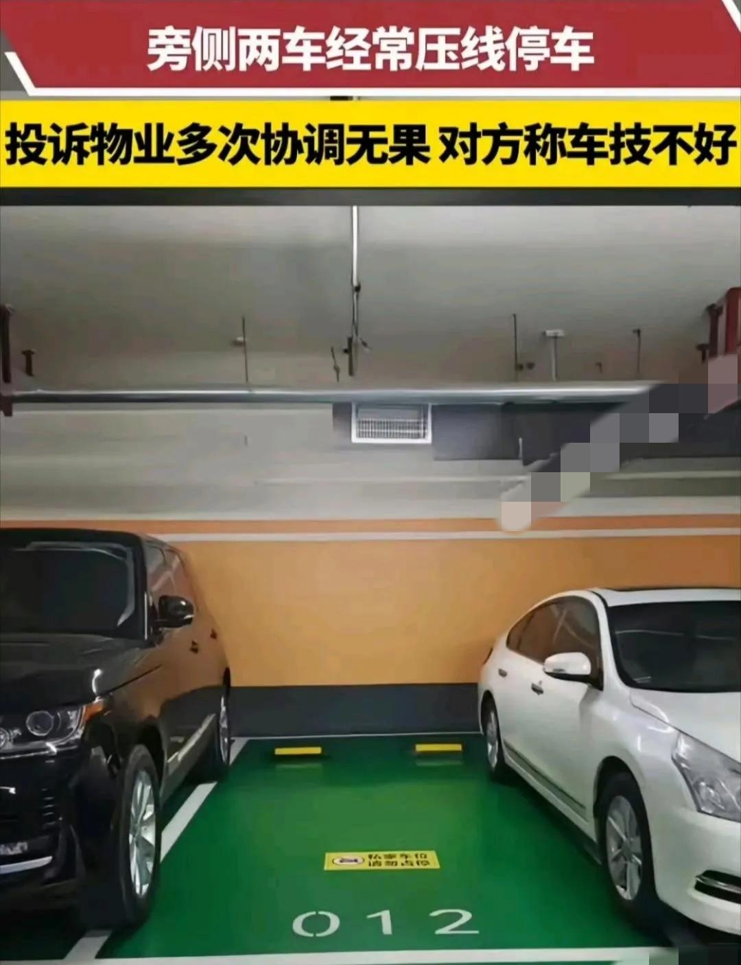 网友:  摊上这种邻居，该怎么办？求支招！！！