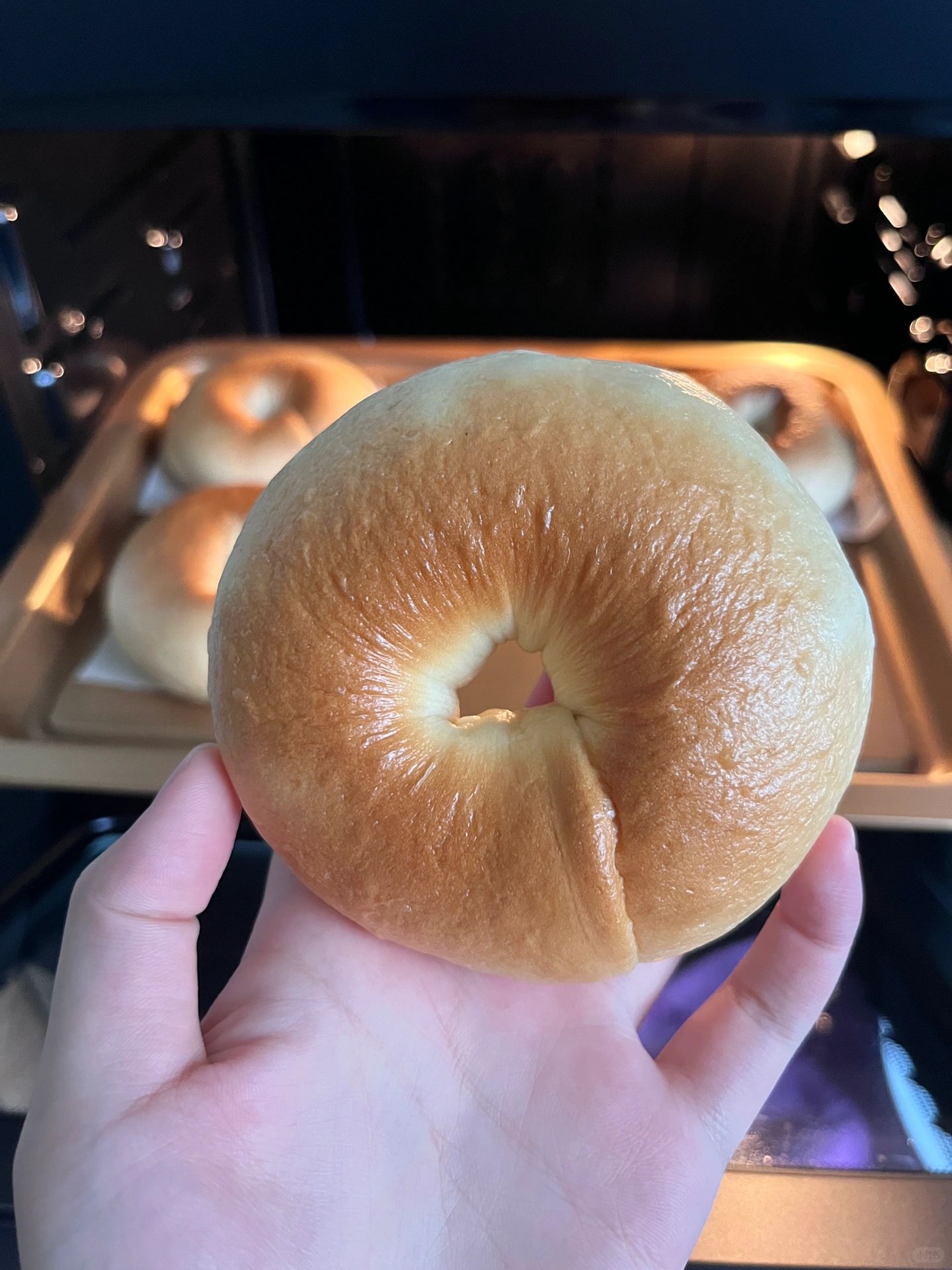 红豆贝果🥯｜贝果脑袋的快乐