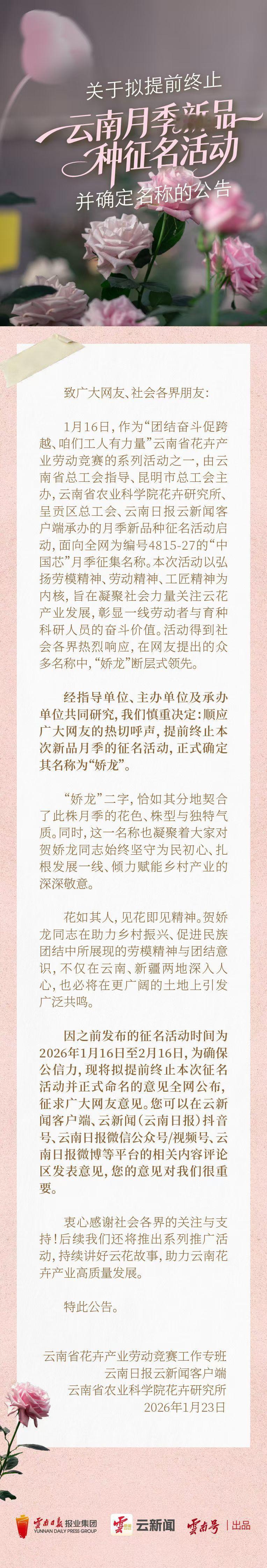 这朵花就叫娇龙吧云南鲜花命名娇龙 经指导单位、主办单位及承办单位共同研究，我们慎