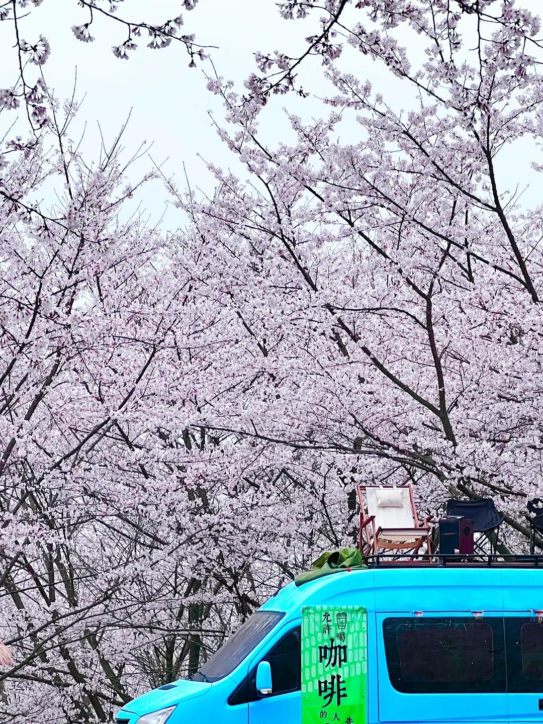 30岁后才懂的10条人性潜规则，越早明白越少吃亏:

1. 你越弱，越没人把你当