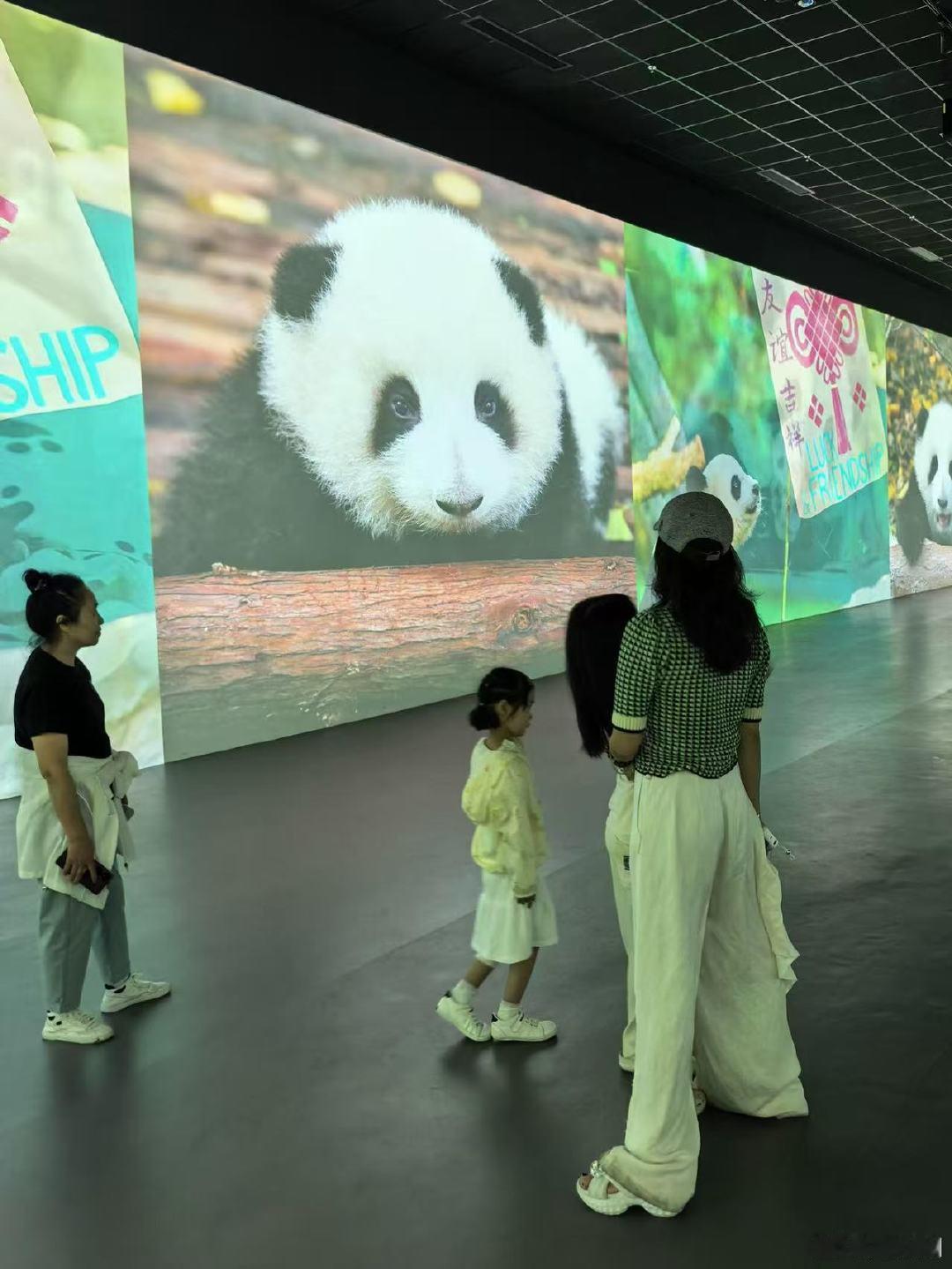 章子怡带儿女逛灯会三亚偶遇章子怡带儿女逛灯会章子怡带儿女逛灯会，陪着儿女和熊猫玩