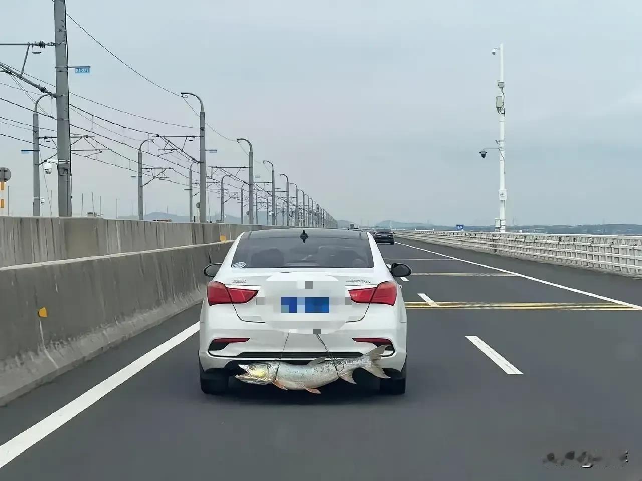 这是在炫耀自己钓到了大鱼吗？