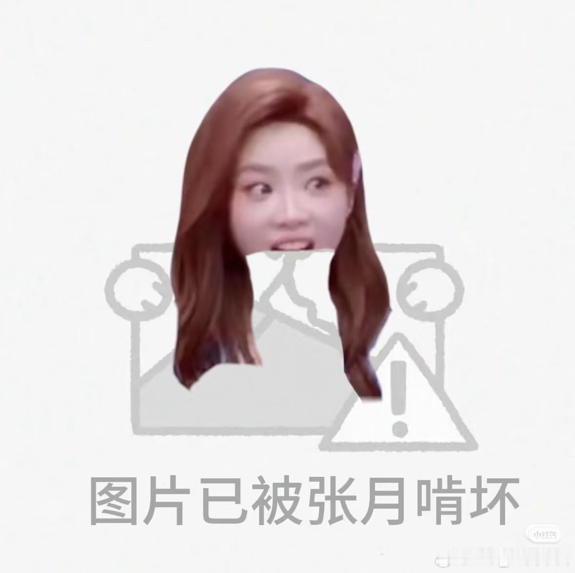 月月消失的一天～想她