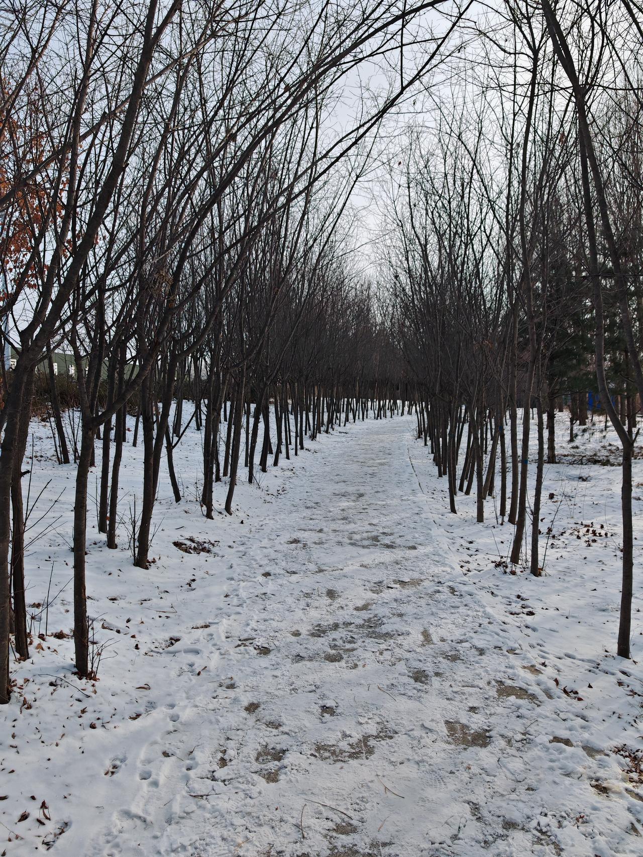 与痛风斗争的历程94
 
   早上起床，天气晴。左膝盖隐隐作痛，走起路来虽还无