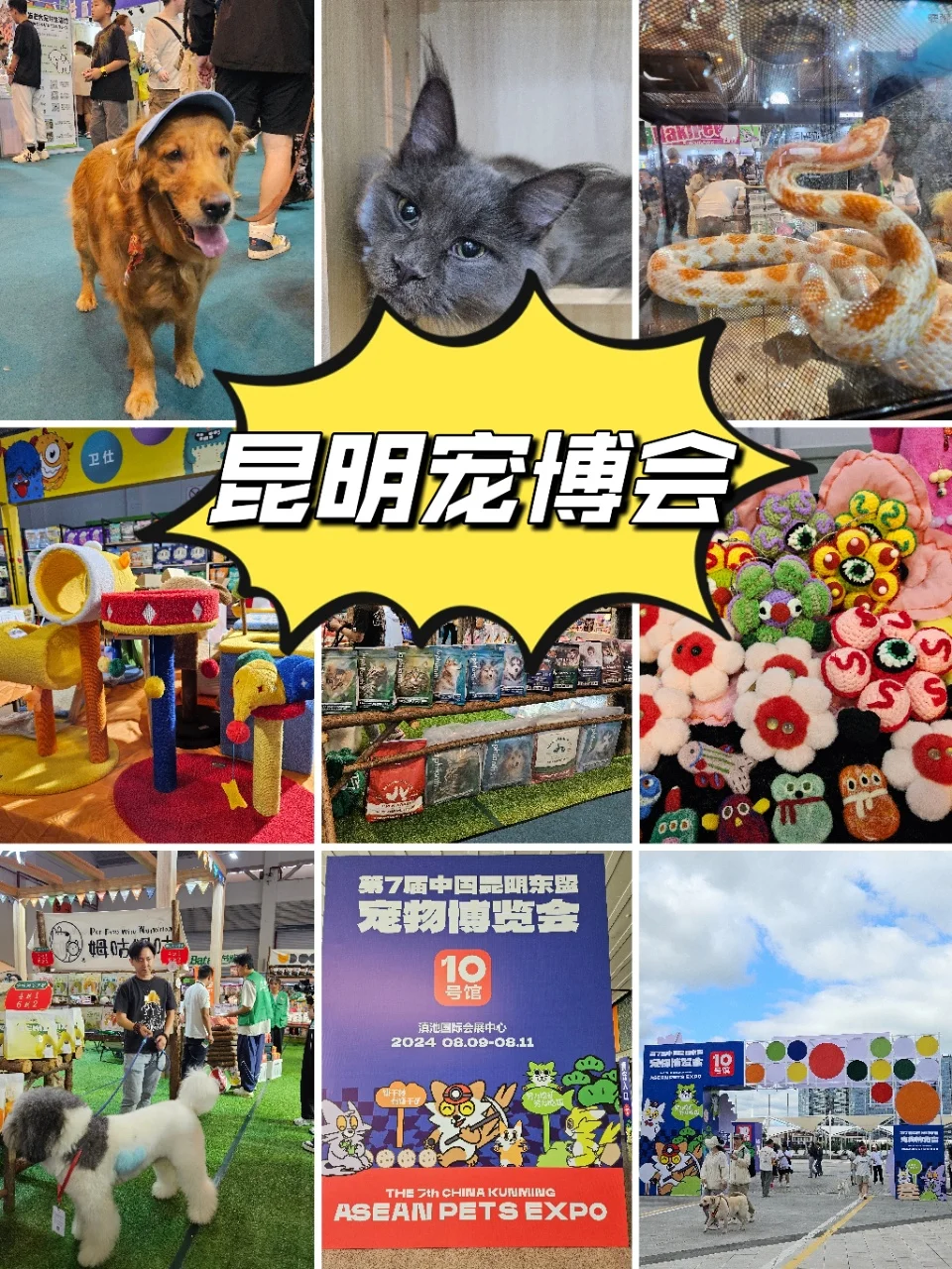 谁懂啊，真的太可爱啦！