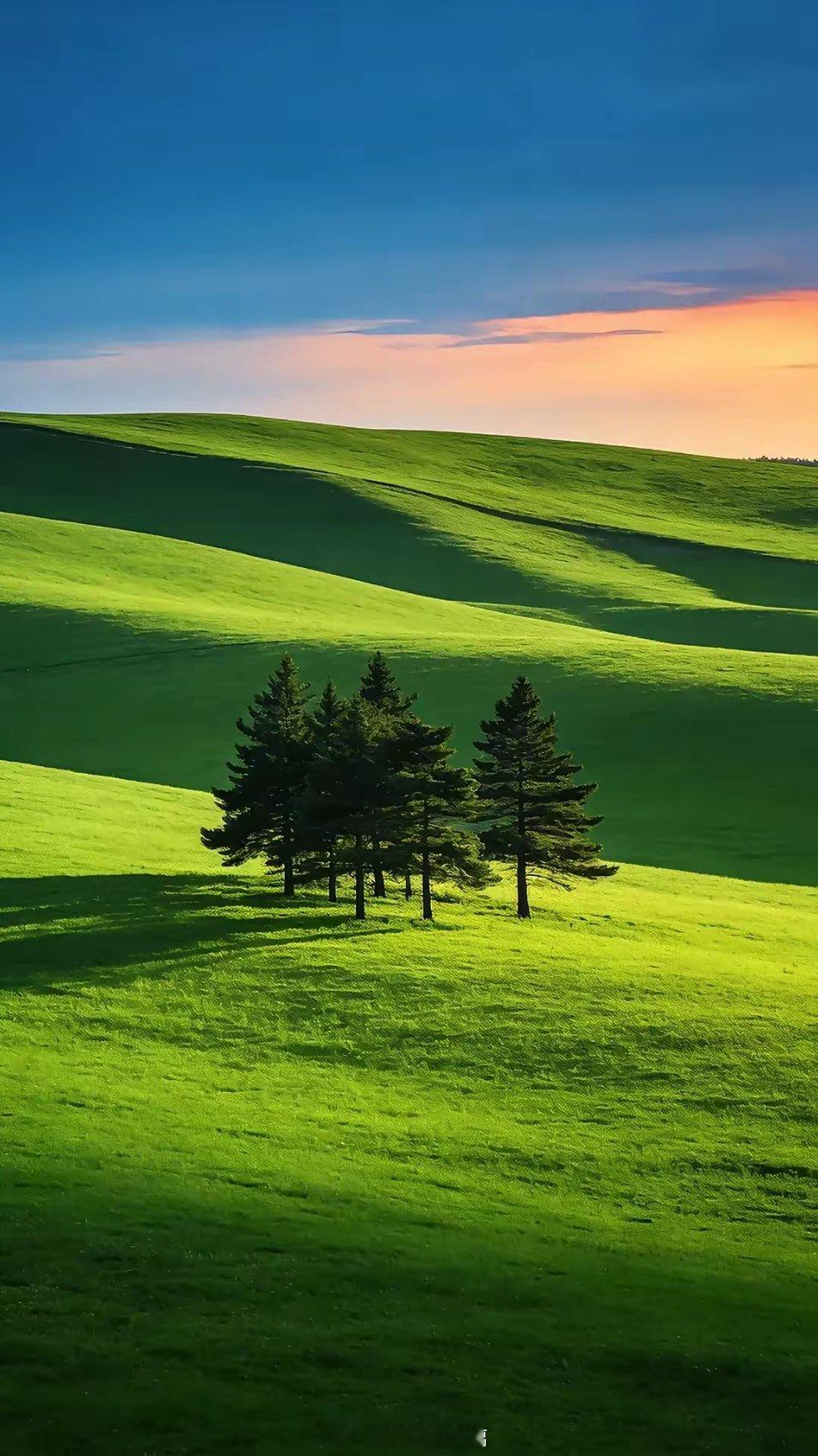 世界上最珍贵的东西是什么1、是关心。嘘寒问暖，体贴入微。2、是惦记。牵肠挂肚，朝