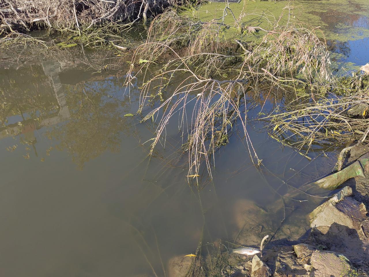 这干水利工程就是快活，昨天跟着以前的小伙伴来到了河北保定大清河项目，下来就是一顿