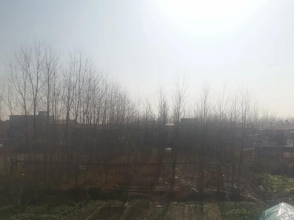 今天天气晴朗，户外晒太阳的好时间。远处大妈又出门了，在菜地里忙活。