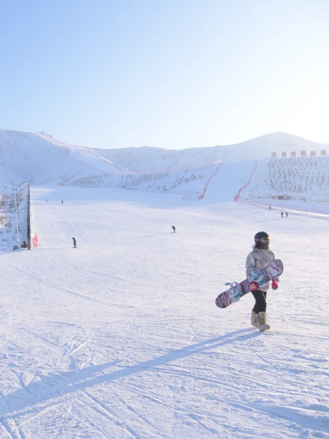 为什么冬季享自由要安排四驱越野出行？