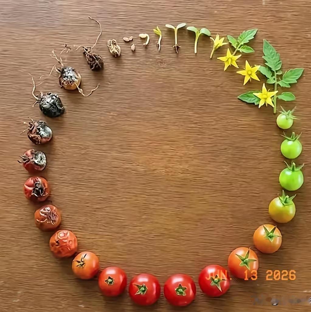 有位朋友读完《明朝那些事儿》后深受触动，觉得成功就是按自己的方式过一生，于是辞职