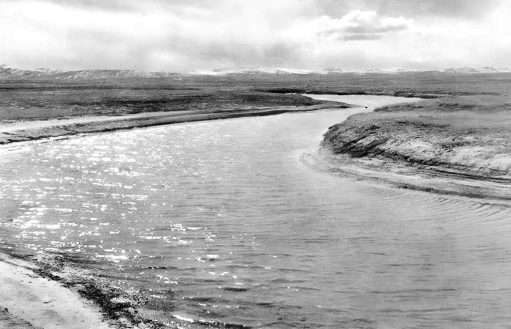 积极影响
1. 提升生产效率，推动经济增长：AI能够自动化处理大量重复性任务，优