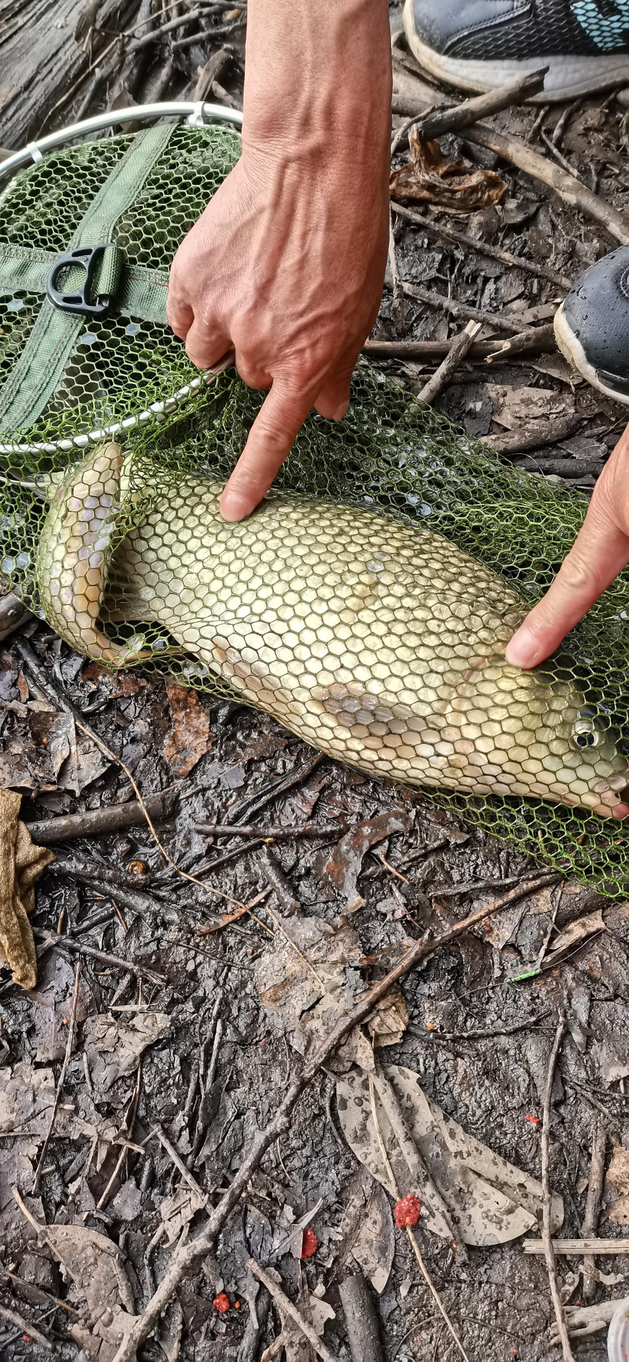 散户在股市中亏钱的真正原因简单来说就是太贪心，不止赢止损！
自媒体上的炒股方法和