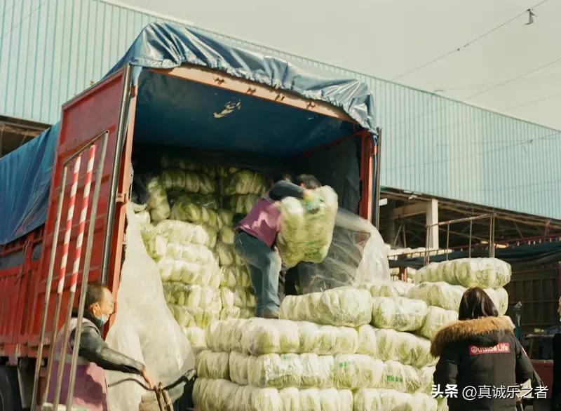 明天便要进入阳历七月了，然而徐州市东高蔬菜批发市场的生意依旧冷清。除了代销的老板