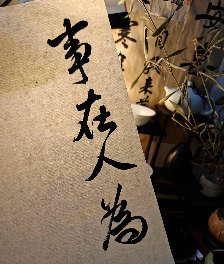 震荡反复的行情里，很多朋友看得懂方向，却拿不住利润。追涨杀跌、频繁扫损、扛单被套