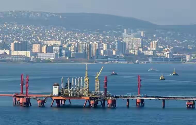 印度准备放弃俄油，普京不得不给最低价，中方大使一句话释放信号