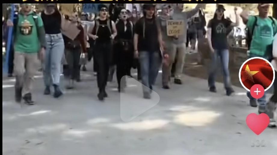 马斯克接连表态支持美国退出北约和联合国，这番言论成了美国反马斯克浪潮的导火索之一