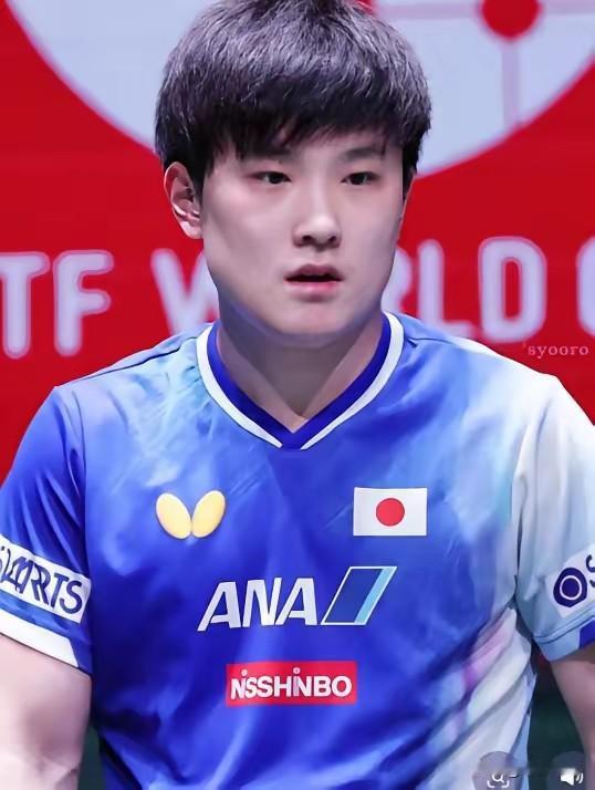 张本智和现在估计肠子都悔青了！
他后悔的不是赢下比赛不够光彩，
也不是赛场表现有