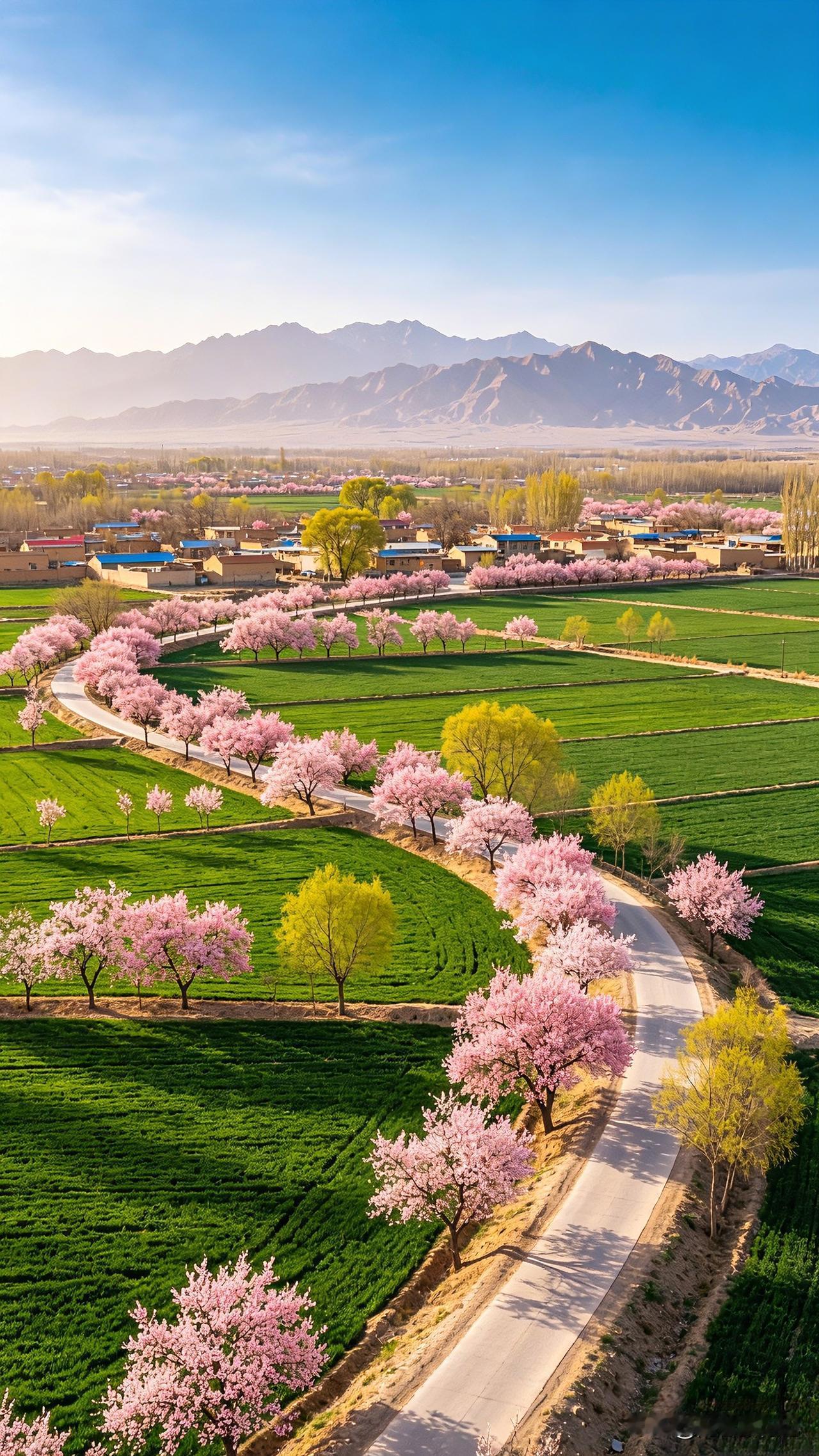 平罗县坐落于宁夏平原，春日里黄河水暖、湿地复苏，沙湖碧波荡漾，乡村田园生机盎然，