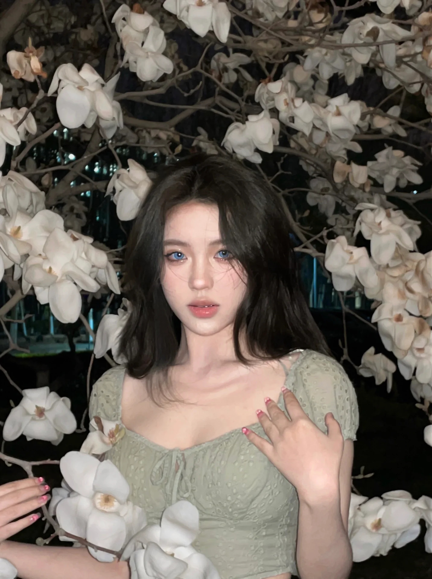 存一些玉兰花拍照姿势🕊️ ​​​