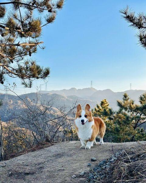 小短腿也能胜任的冬季徒步路线
📍北京 
天天领红包近郊徒步指南 徒步 户外 0