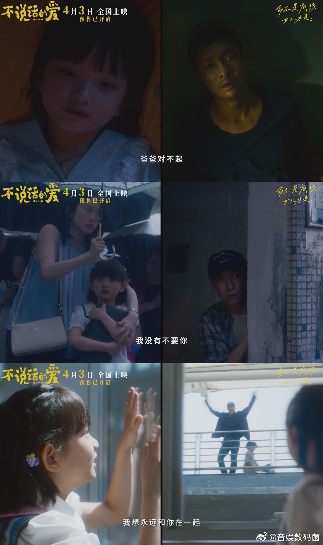 电影不说话的爱预售开启聋人会在看见你的第一眼对你微笑 不说话的爱，却震耳欲聋！小