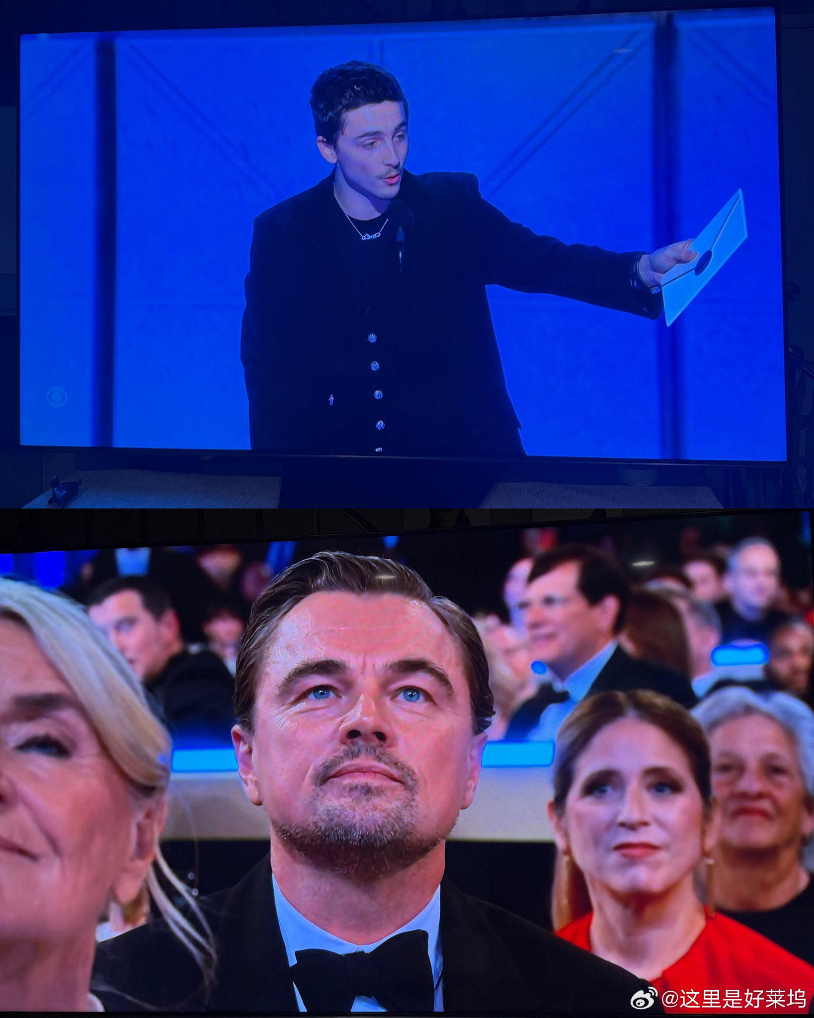 甜茶小李子合影甜茶金球奖影帝 昨日，“甜茶”提莫西·查拉梅（Timothée C