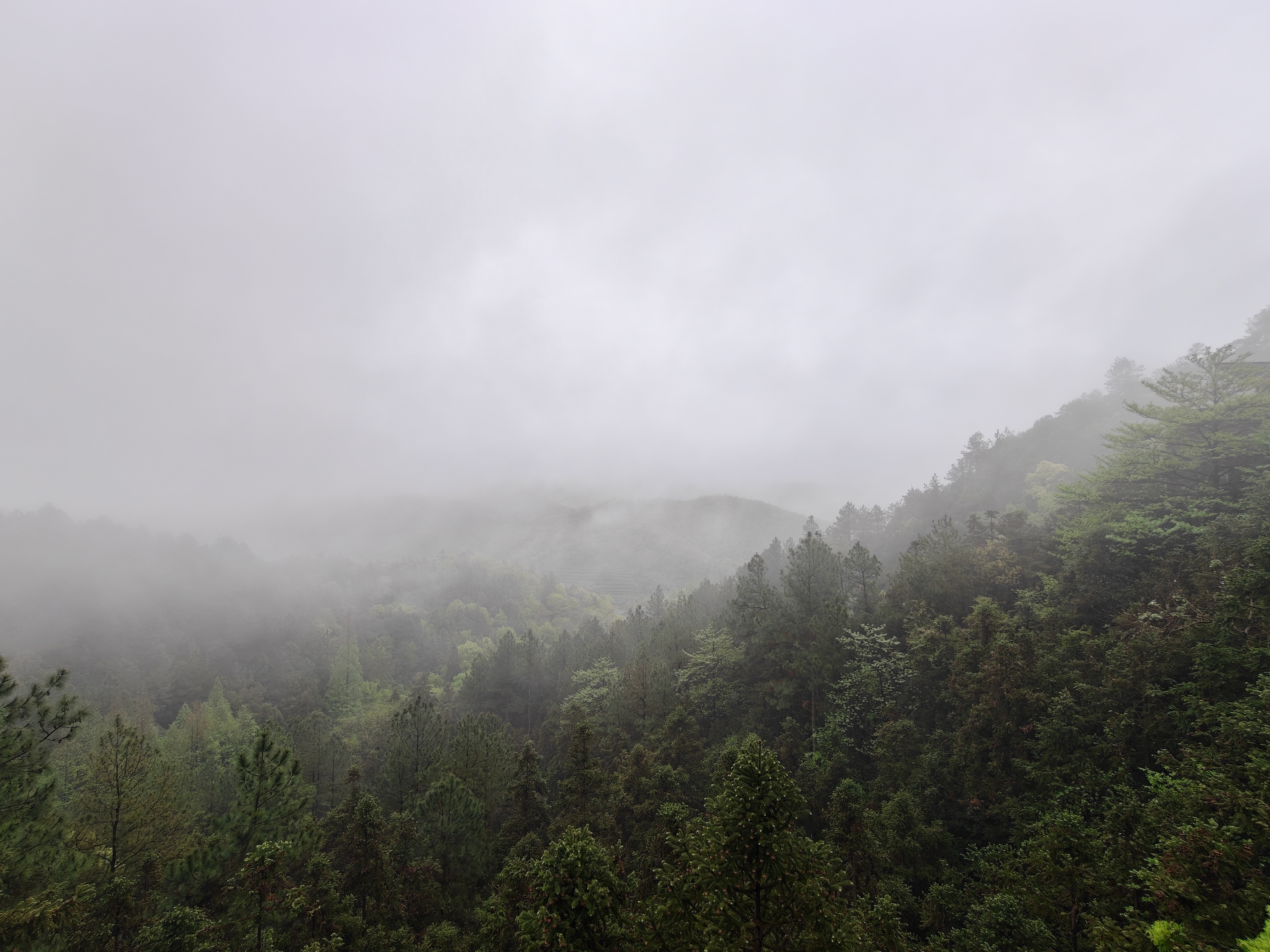 各位早 今天早晨起来有点醉氧 湖州