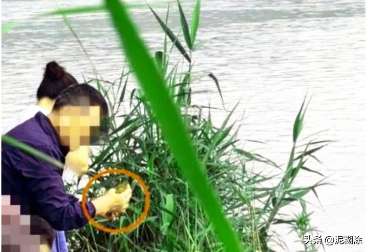 成都锦江边上，这事儿真把人看恼火了。

胡女士在云龙湾遛弯，撞见十来个人正往河里