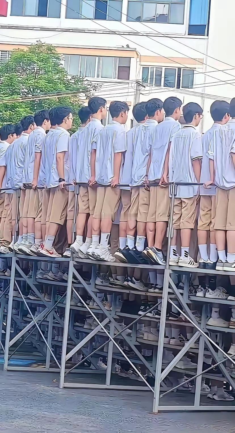 学校还是用心了 