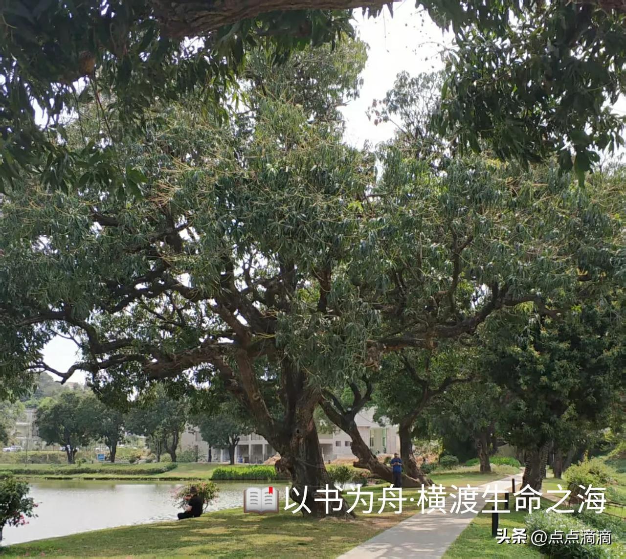 一个人如果不读书，他的三观就由身边的人和事物来决定，因为没有别的输入途径，周围流
