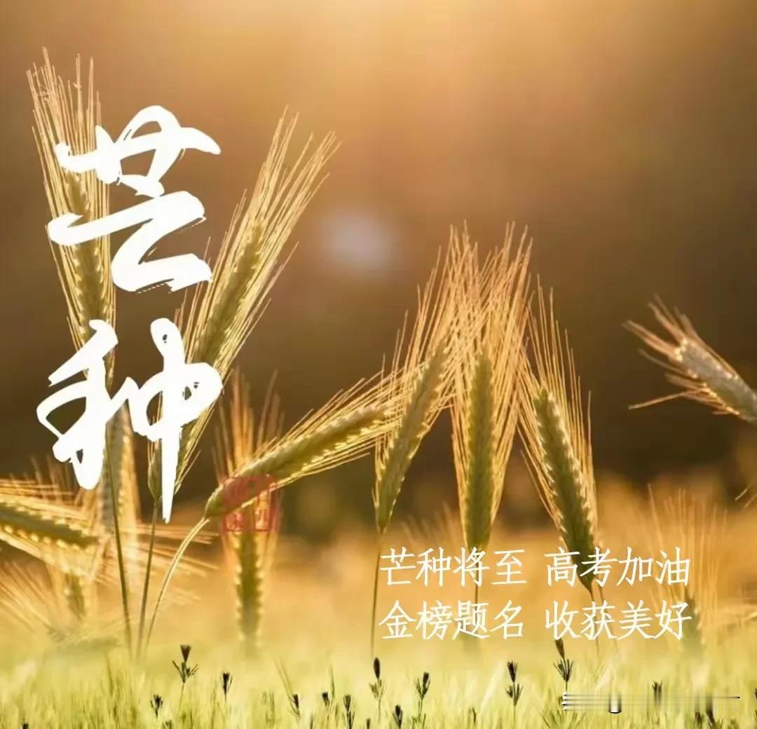 祝高考学子金榜题名！