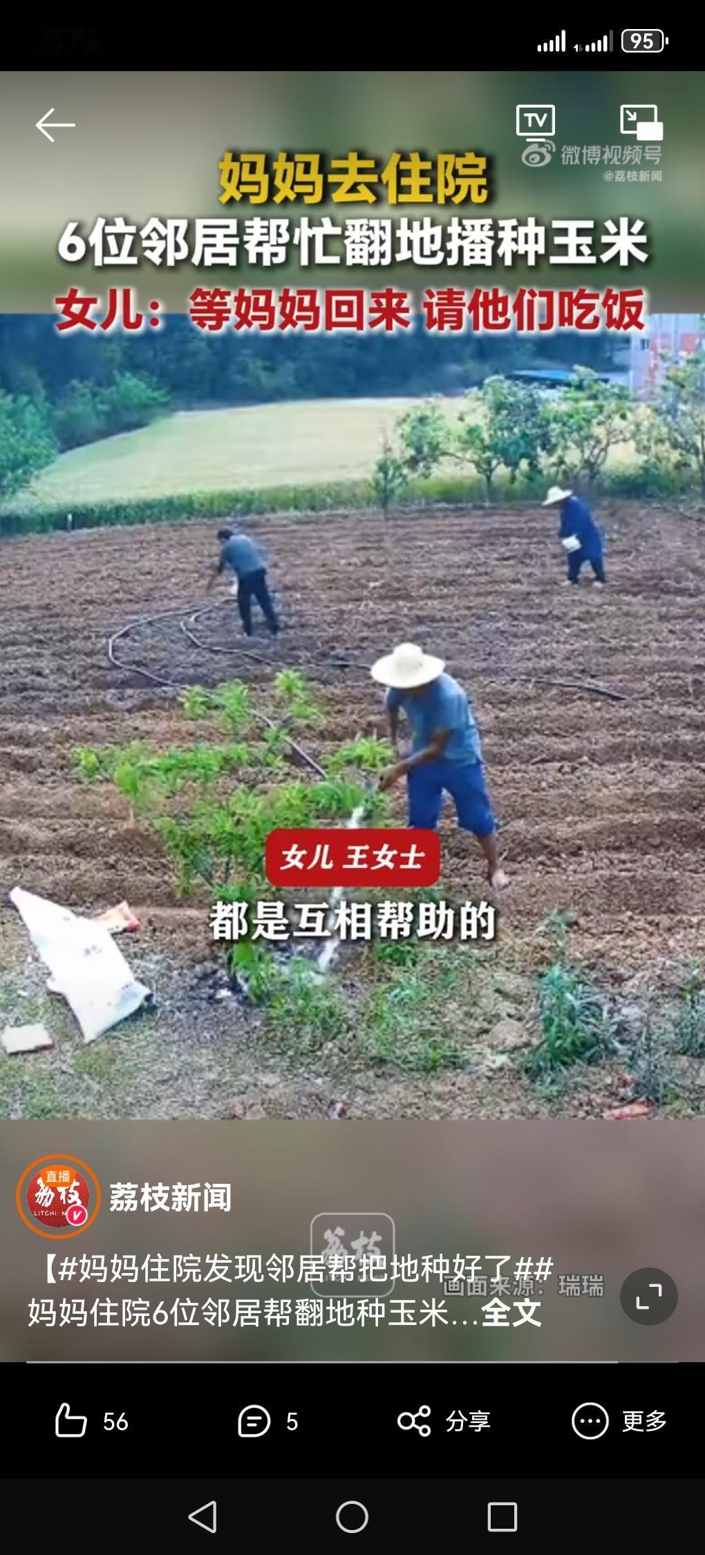 离谱又暖心！陪妈住院一趟，回家庄稼地竟全被收拾好了
 
四川绵阳王女士怎么也想不
