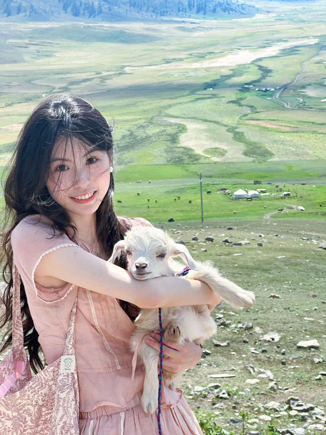 🐑小羊也太可爱辽！
