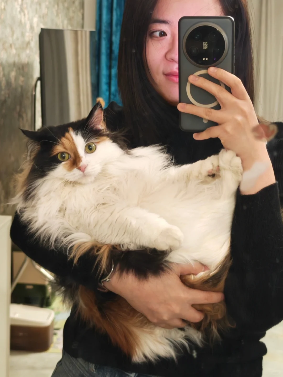 每年和小猫拍个合影📷