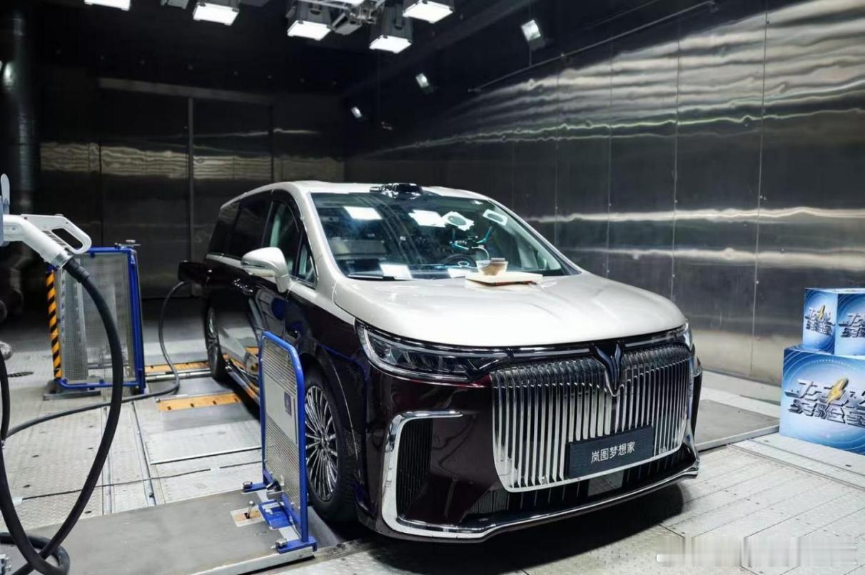 岚图联合央视新闻发布岚海智混：全域800V+5C超充+63 kWh电池，中大型混