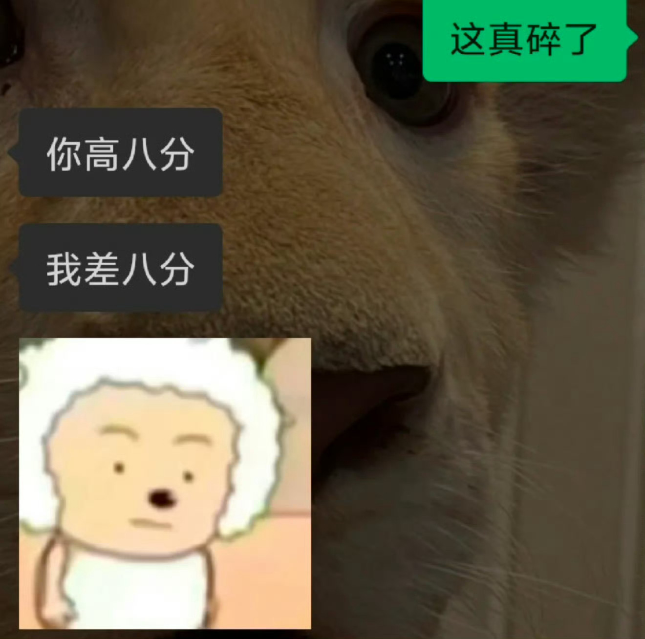 Crush六级差8分过，我多8分过了，怎么哄他 ！！！ 