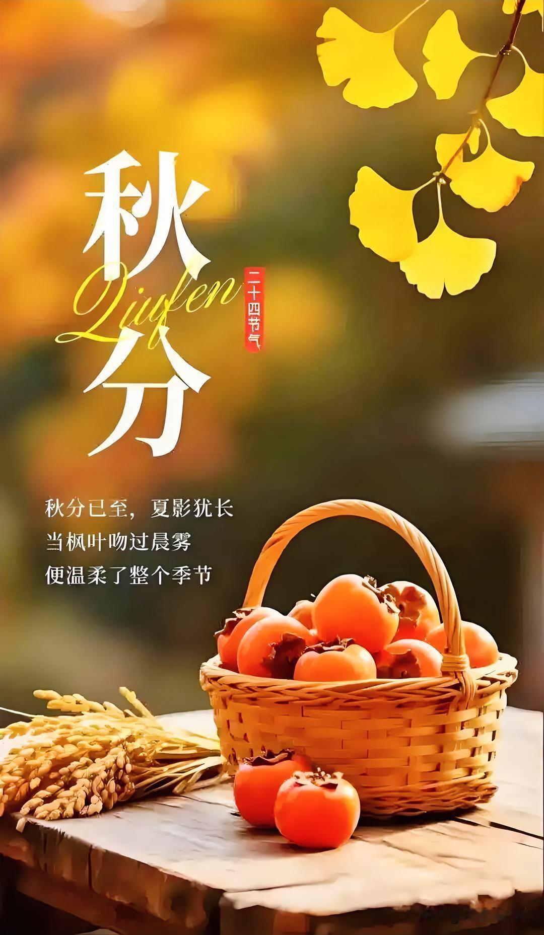 当然是春分和秋分啊，老祖宗定的节气真的藏着精准的天文智慧。
老辈人常说“春分秋分