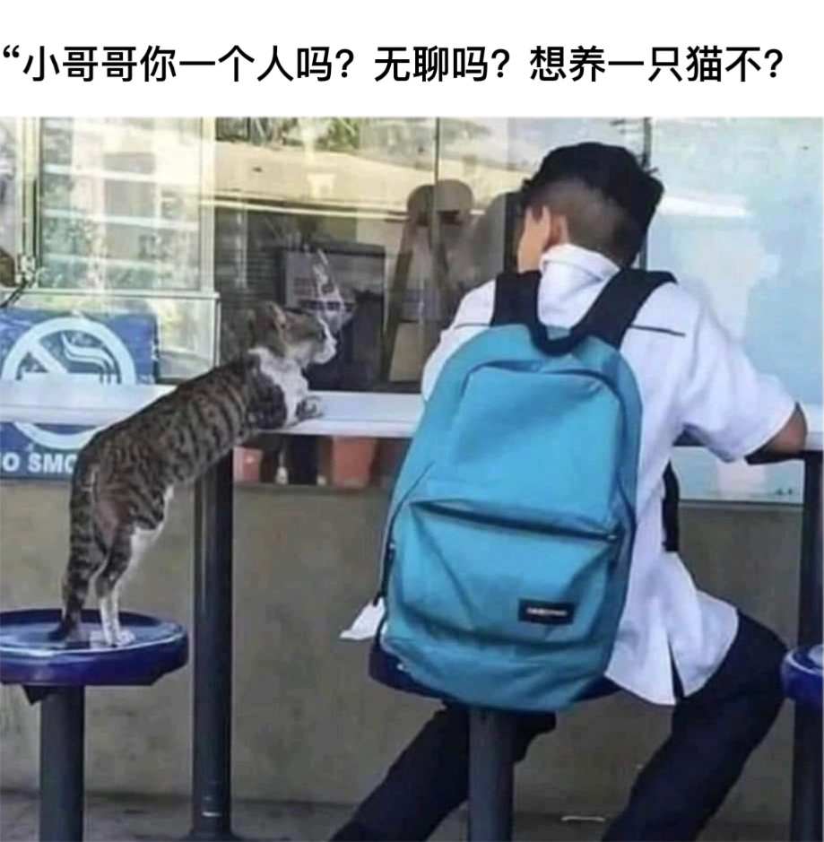 好会搭讪#今日memes# //#我的春日狂欢日记# ​​​