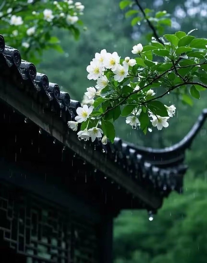 "放下了所有执念，我还有万里路要行，敬这人间的风，敬那未完成的梦。 "