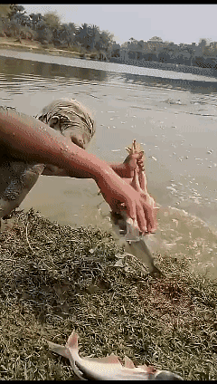 捕鱼🐟的乐趣……[泣不成声]