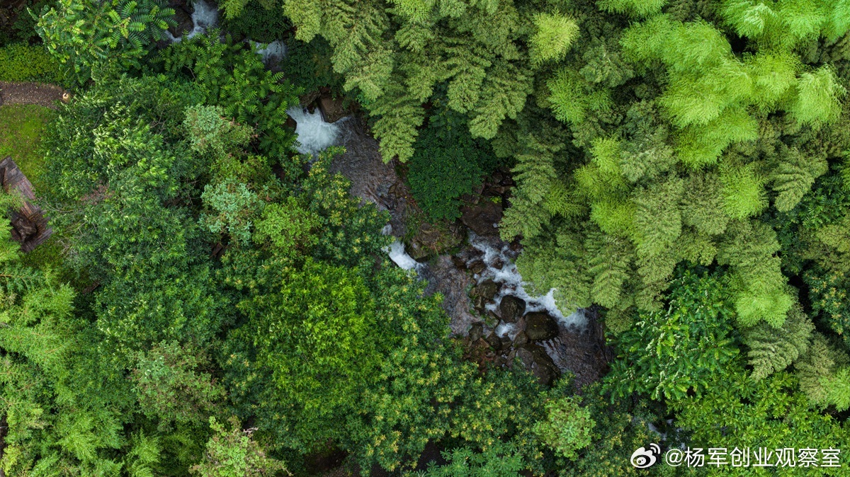 【利润分配纠纷：股东需穿透的三个关键点】利润分配是股东的核心权利，但实践中极易引