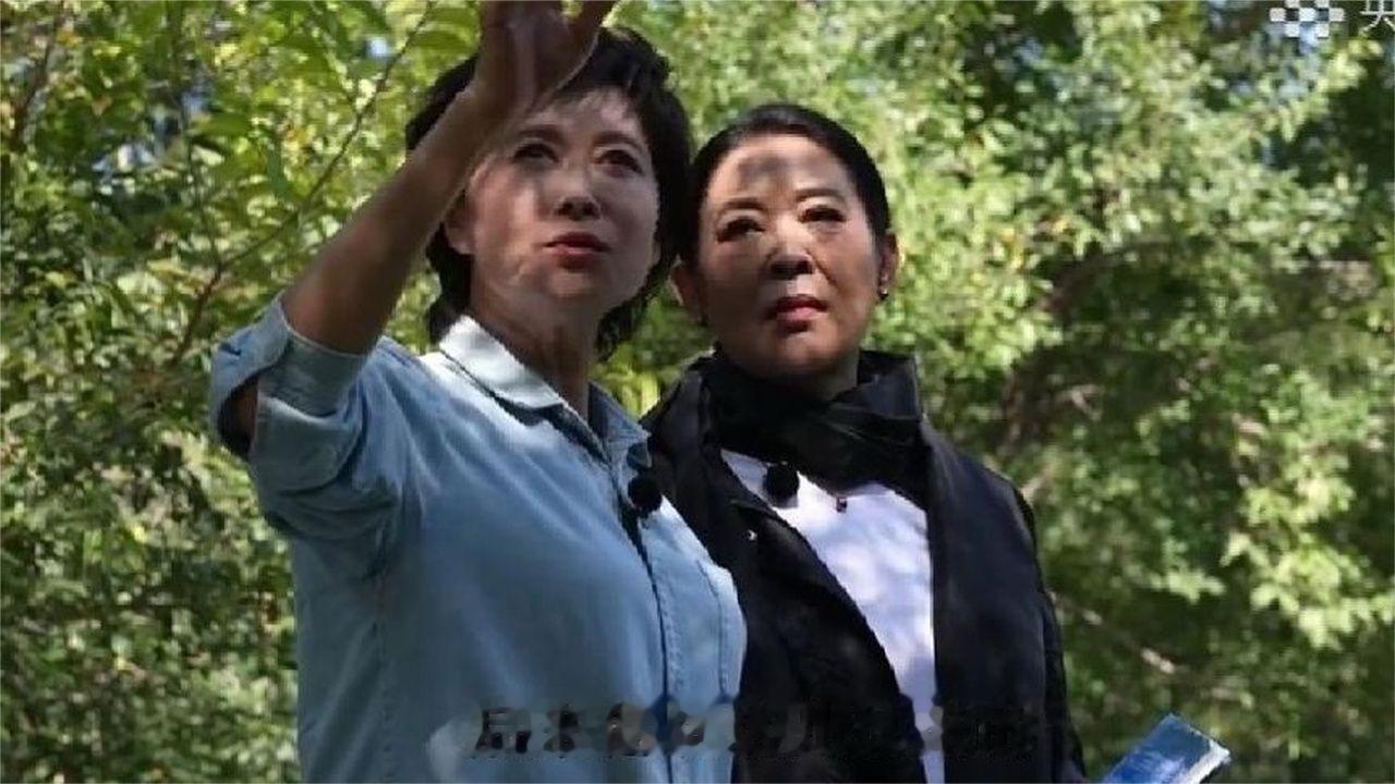 看哭了！敬一丹去世后，她和倪萍同游长城的视频翻红，如今成绝唱
