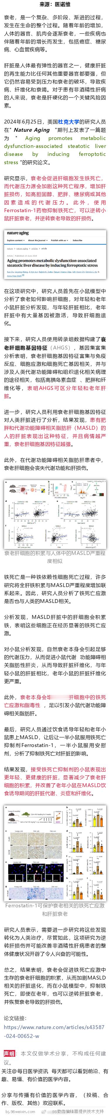 逆转肝脏衰老！Nature Aging：抑制铁死亡可恢复衰老肝脏，并逆转衰老导致