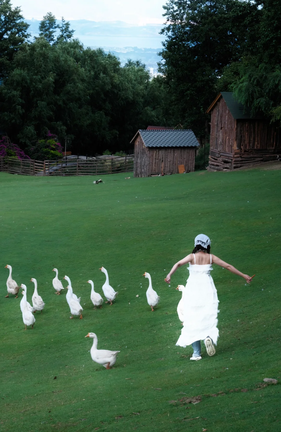 云上草原｜大理人自己的“阿勒泰”